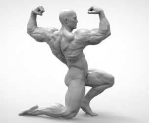 Bodybuilder Pose Anatomy