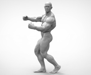 Bodybuilder Pose Anatomy