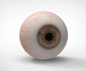 Realistic Human Eye