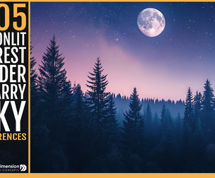 505 Moonlit Forest Under Starry Sky