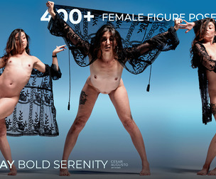 400+ Female Figure Poses - Thay Bold Serenity