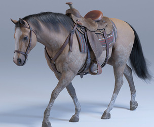 Horse