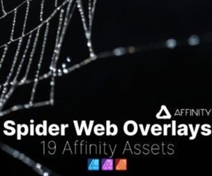 Affinity Assets | Spider Web Overlays
