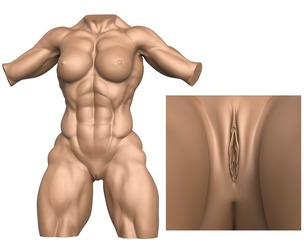 3D Print Ready Muscular Woman Torso with Vagina