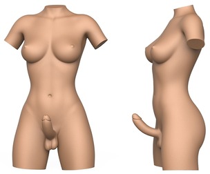 3D Print Ready Sheman Torso With Penis