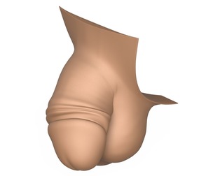 3D Print Ready Small Thick Penis