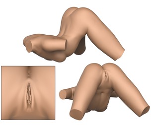 3D Print Ready Female Vagina With Torso