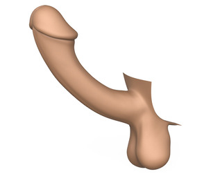 3D Print Ready Fantasy Penis