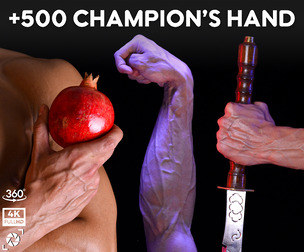 +500 Champion’s Hand Reference Pictures - Vol 04