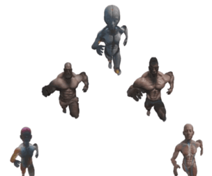 Advanced Human Body Study Collection