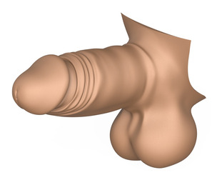 3D Print Ready Small Erect Penis