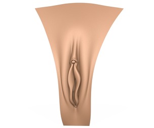 3D Print Ready Woman Vagina