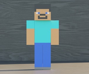 Steve Maincraft Character