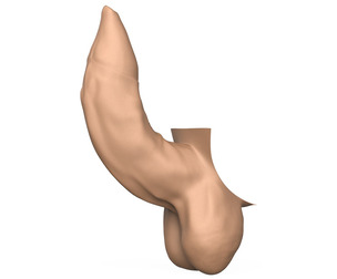 3D Print Ready Uncircumcised Erect Penis