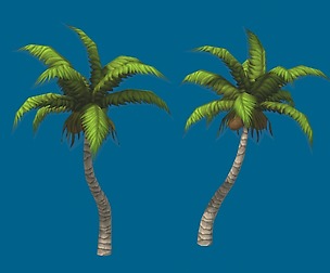 Hand painted Palm tree