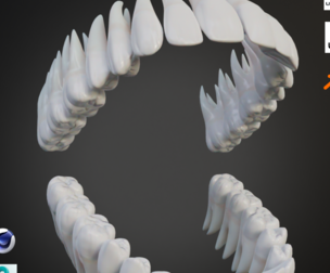 Clean Human Teeth Realistic and Detailed Low-poly 3D model