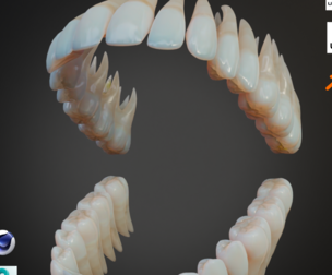 Dirty Human Teeth Realistic and Detailed Low-poly 3D model