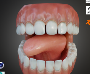 Human Mouth with Teeth Tongue and Gums - Rigged Low-poly 3D model