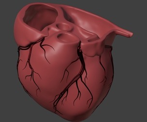 3D Model of Heart with Vessels