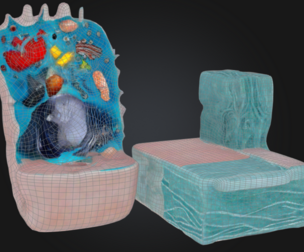 3D Animal Cell Structure Model
