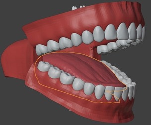 3D Teeth, Tounge, Mouth - Dental Model