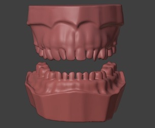 3D Model of Mouth with Teeth