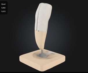3D Model of Lower Incisor Tooth