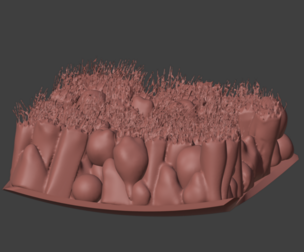 3D Model of the Epithelium of the Trachea