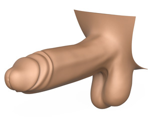 3D Print Ready Man Big Erect Penis