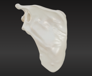 3D Scapula Bone Model