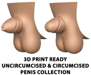 3D Print Ready Man Small Penis Collection