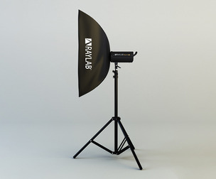 Raylab Studio Light 3d Model