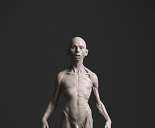 Man Ecorche