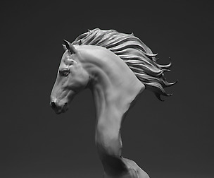 horse head