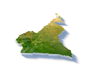 Cameroon Terrain Map