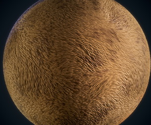 Fur - Vol 01 - SBsar & Maps