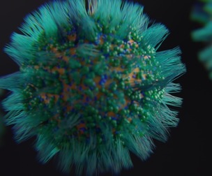 Sci-Fi Virus