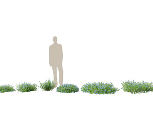 (Highpoly+Low Poly) lithodora diffusa - Gromwell