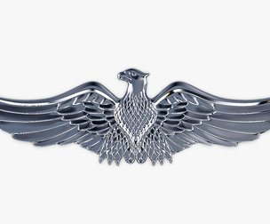 Eagle Insignia Chrome 3D Model