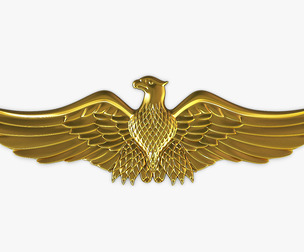 Eagle Insignia Gold 3D Model