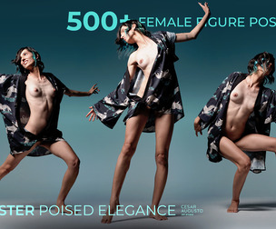 500+ Female Figure Poses - Aster Poised Elegance