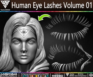 Human Eye Lashes (IMM, Obj, STL, ZTL) Volume 01