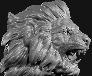 Lion head , face