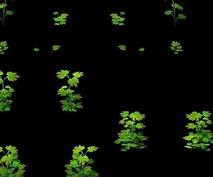 Game Model - Grass 02