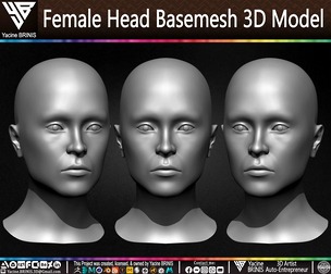 Female Head Basemesh 3D Model