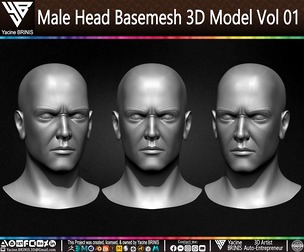 Male Head Basemesh 3D Model Volume 01