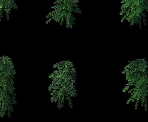 Game Model - Grass 03