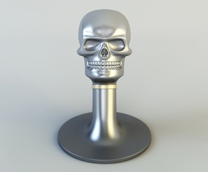 Skull 3D Model