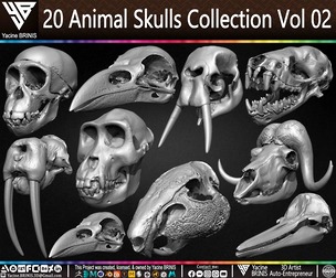 20 Animal Skulls Collection Volume 02