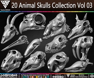 20 Animal Skulls Collection Volume 03